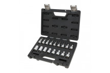 1/2? Drive Male & Female Torx Socket Set (17pc)