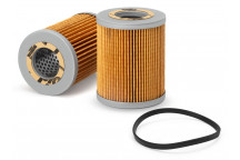 Fuel Filters/FWS