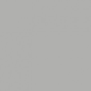 Light Grey Primer 1L - UZLGY