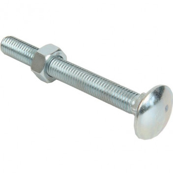 Coach Bolt M8x100 + Nuts (50)