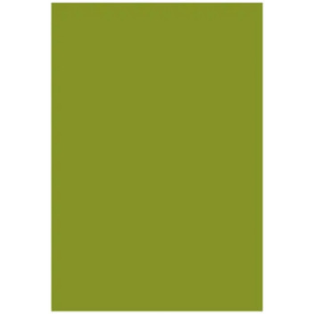 Claas Green 1L - PU100