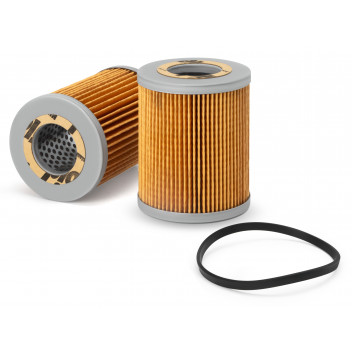 Fuel Filters/FWS