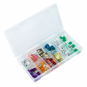 Automotive Mini Fuse Assortment (100pc)