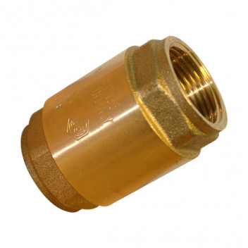 Brass Spring Check Valve 1"