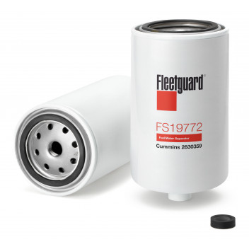Fuel Filters/FWS