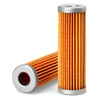 Fuel Filters/FWS